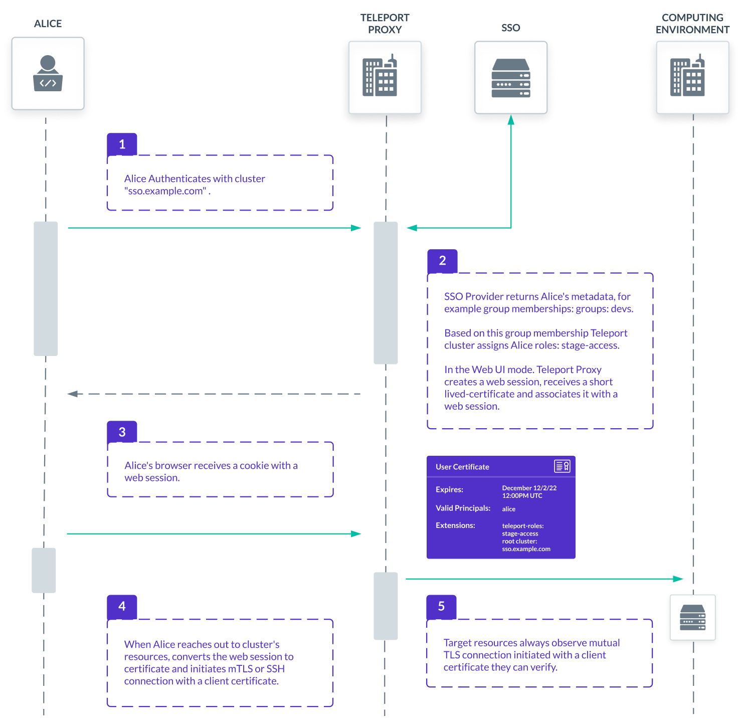 Teleport Proxy Web