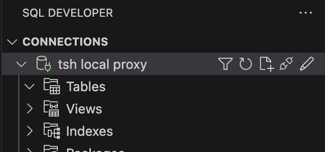 SQL Developer (VS Code) Connected (basic)